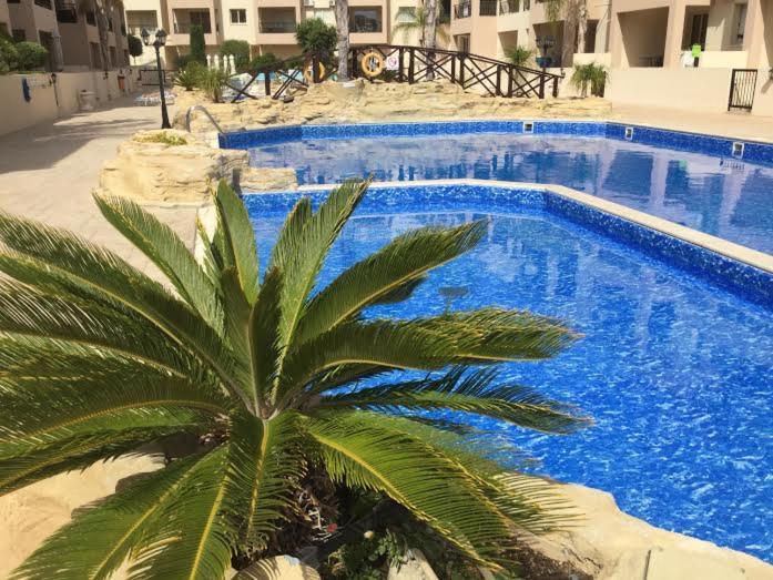 Apartment First Floor Overlooking Pool Paphos